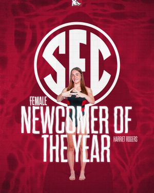 Image post by @razorbackswimdive on Instagram