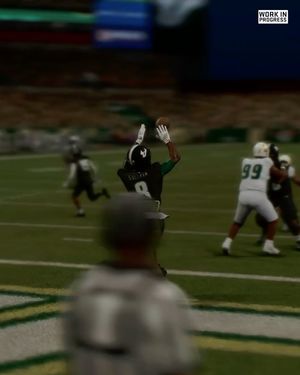 Image post by @usffootball on Instagram