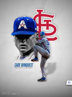 Image post by @UTAMavsBSB on Twitter