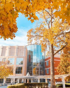 Image post by @marshallu on Instagram