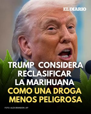 Image post by @eldiariony on Instagram