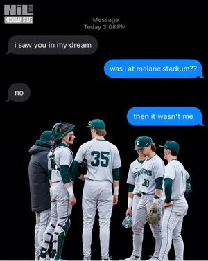 Image post by @msu.nil.store on Instagram