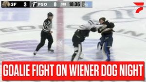 Video post by @flohockey on YouTube