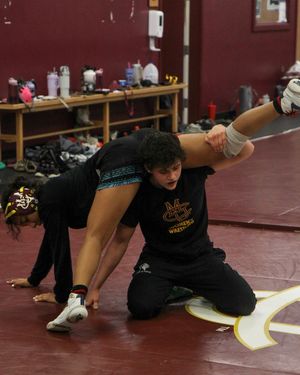 Image post by @cmuwomenswrestling on Instagram