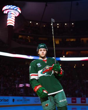 Image post by @minnesotawild on Instagram