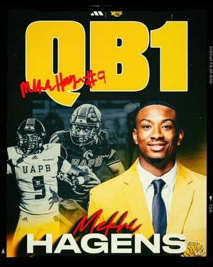 Image post by @uapblionsfb on Instagram