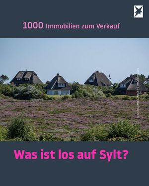 Video post by @stern_de on TikTok