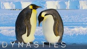 Video post by @bbcearth on YouTube