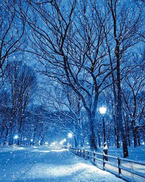Image post by @nyhiltonmidtown on Instagram