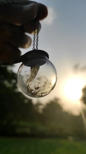 Video post by @leafyaffair on Instagram