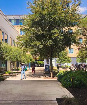 Image post by @utsa on Instagram