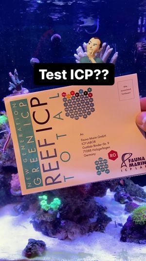 Video post by @aqualupi on Instagram