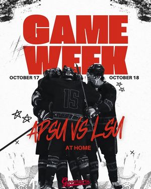 Image post by @govhockey on Instagram