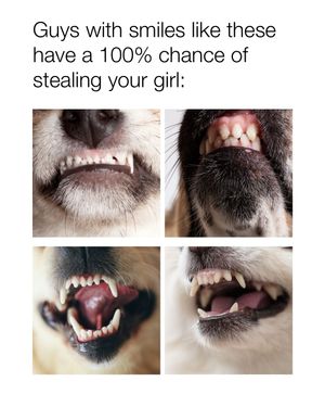 Image post by @mybenebone on Instagram