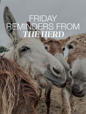 Image post by @oursimple.homestead on Instagram