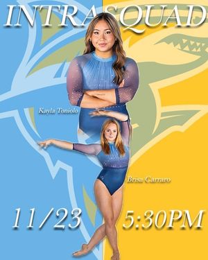 Image post by @liuwgymnastics on Instagram