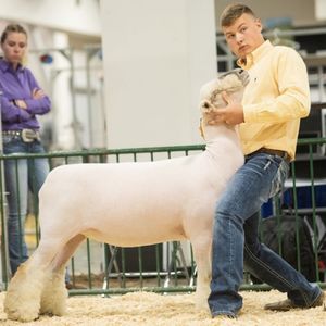 Image post by @michiganstatefair on Instagram