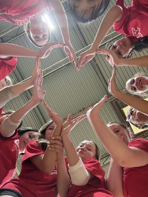 Image post by @lovbclubs on Instagram