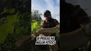 Video post by @jonasederfishing on YouTube