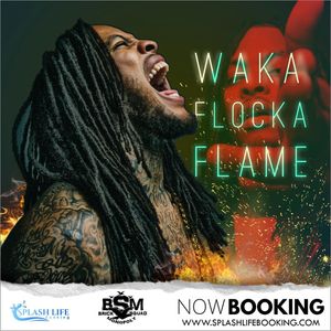 Image post by @splashlifebooking on Instagram