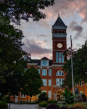 Image post by @clemsonvb on Instagram