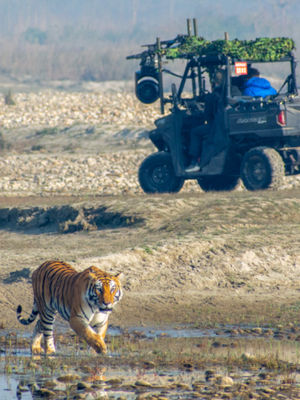 Video post by @bbcearth on TikTok