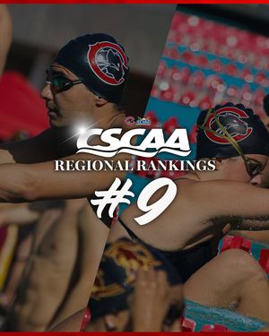 Image post by @chapmanuswimdive on Instagram