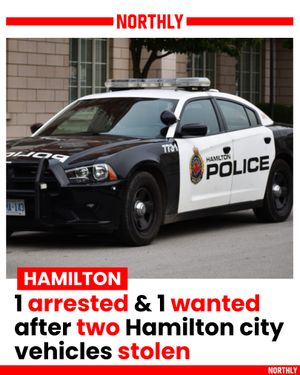 Image post by @northlyhamilton on Instagram