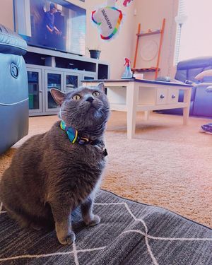 Image post by @m_lweber on Instagram