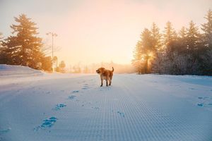 Image post by @klasakphoto on Instagram
