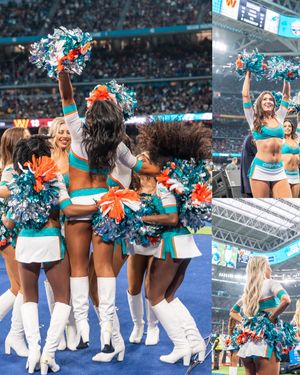 Video post by @dolphinscheer on TikTok