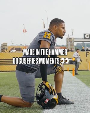 Image post by @hamiltontigercats on Instagram