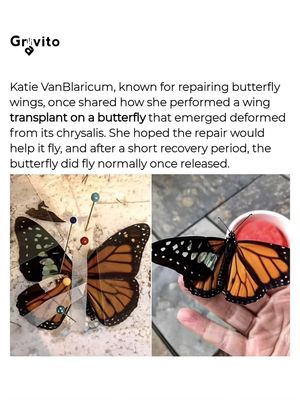 Image post by @gravitonomy on Instagram