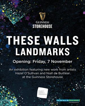 Image post by @homeofguinness on Instagram