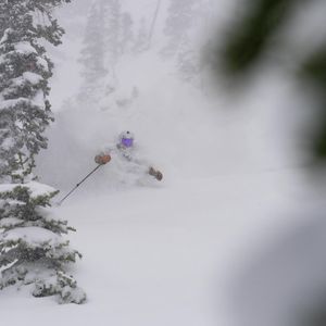 Image post by @snowbird on Instagram