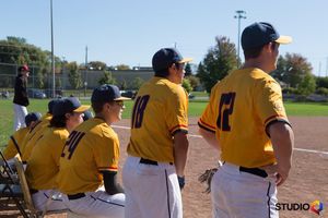 Image post by @gaelsbaseball on Instagram