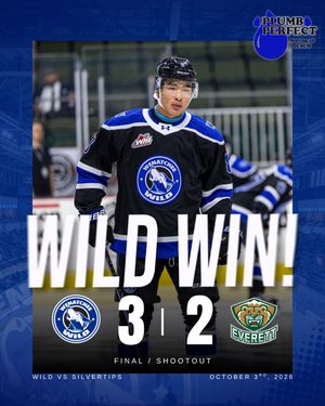 Image post by @whlwild_ on Instagram