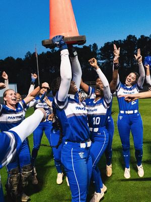 Image post by @gsu_softball on Instagram