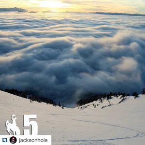 Image post by @uvm_ssc on Instagram