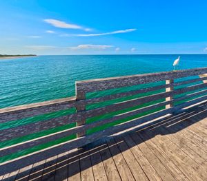 Image post by @visitsarasotacounty on Instagram