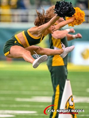 Image post by @ndsucheer on Instagram