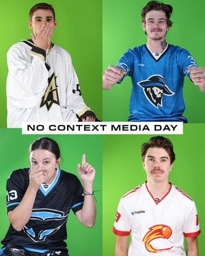 Image post by @nationalballhockeyleague on Instagram