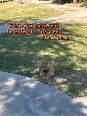 Video post by @thesoundsystemmedia on TikTok