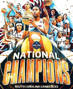 Image post by @barstoolgamecocks on Instagram