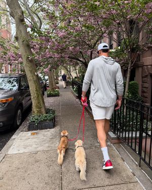 Image post by @thejudge44 on Instagram