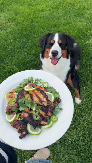Video post by @wishbonekitchen on TikTok