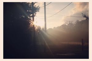 Image post by @brandonlarochelleprod on Instagram