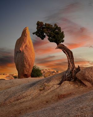 Image post by @nationalparkscollective on Instagram
