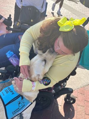 Image post by @canineorg on Instagram
