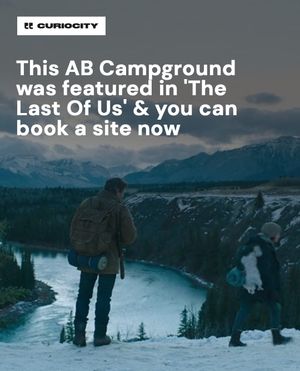 Image post by @curiocitycalgary on Instagram